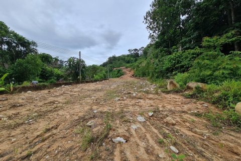Land in Phuket, Thailand 14819 sq.m. № 173473 - photo 6