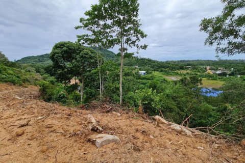 Land in Phuket, Thailand 14819 sq.m. № 173473 - photo 5