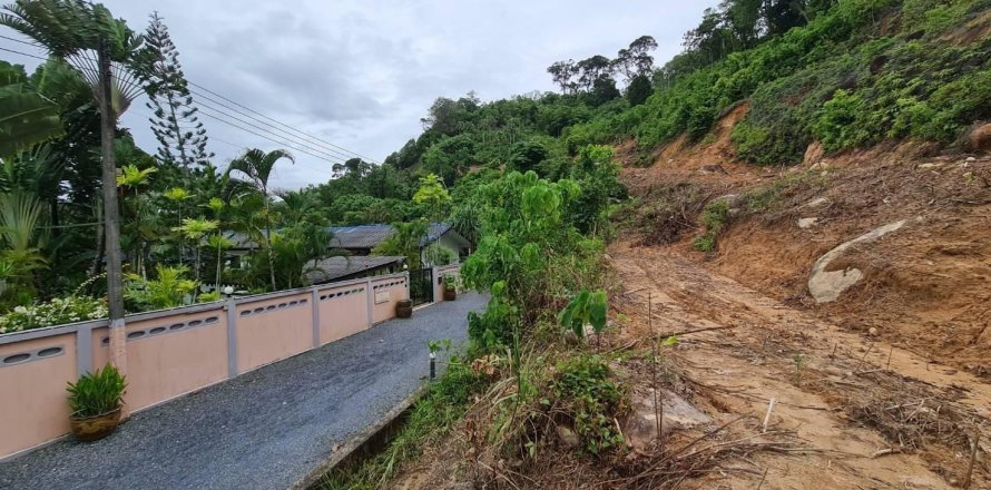 Land in Phuket, Thailand 14819 sq.m. № 173473