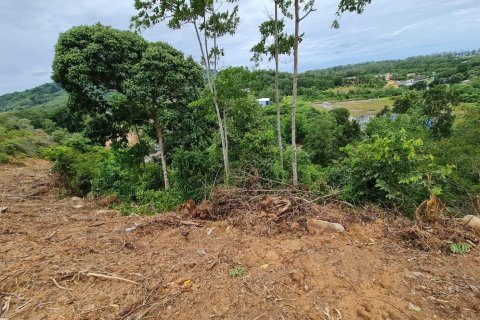 Land in Phuket, Thailand 14819 sq.m. № 173473 - photo 4