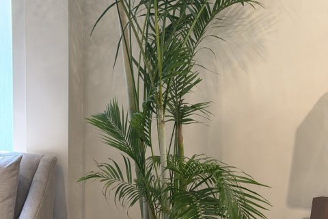 Condo à Pathum Wan, Bangkok, Thaïlande, 2 chambres  № 171721 - photo 22