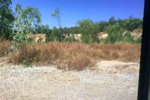 Land in Chiang Mai, Thailand 131200 sq.m. № 171724 - photo 3