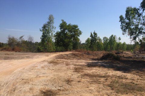 Land in Chiang Mai, Thailand 131200 sq.m. № 171724