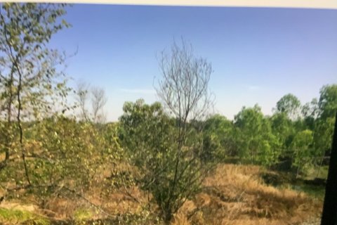 Land in Chiang Mai, Thailand 131200 sq.m. № 171724 - photo 4