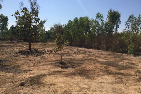 Land in Chiang Mai, Thailand 131200 sq.m. № 171724 - photo 2