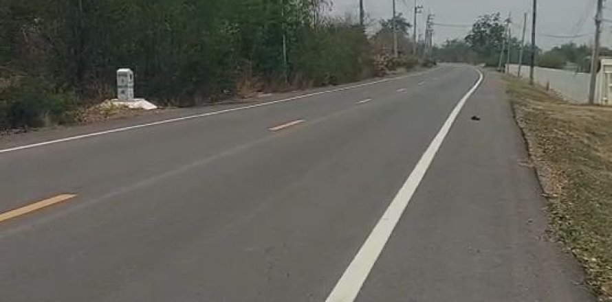 Land in Lopburi, Thailand 800000 sq.m. № 171720