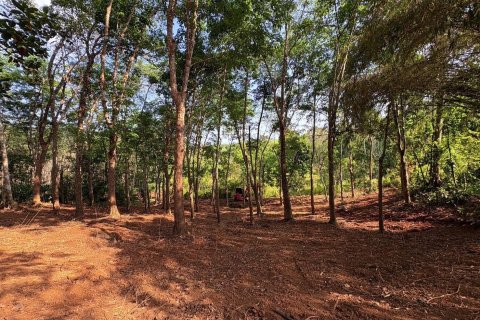 Земельный участок в Паклоке, Таиланд 2812м2  № 171722 - фото 3