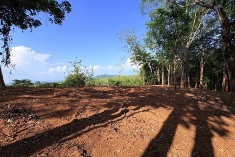 Земельный участок в Паклоке, Таиланд 2812м2  № 171722 - фото 2