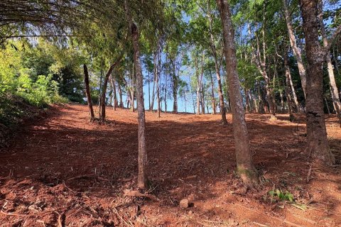 Земельный участок в Паклоке, Таиланд 2812м2  № 171722 - фото 4