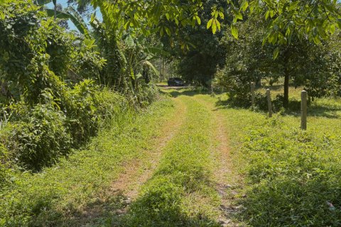Земельный участок в Паклоке, Таиланд 2812м2  № 171722 - фото 10