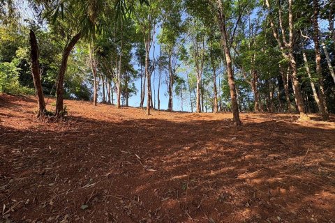 Земельный участок в Паклоке, Таиланд 2812м2  № 171722 - фото 8