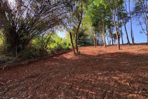 Земельный участок в Паклоке, Таиланд 2812м2  № 171722 - фото 6