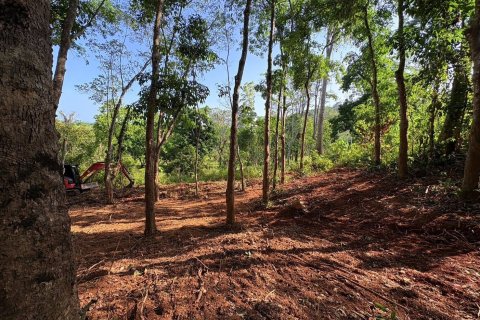 Земельный участок в Паклоке, Таиланд 2812м2  № 171722 - фото 5