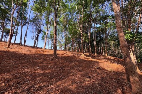 Земельный участок в Паклоке, Таиланд 2812м2  № 171722 - фото 7