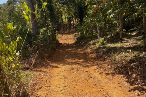 Земельный участок в Паклоке, Таиланд 2812м2  № 171722 - фото 9