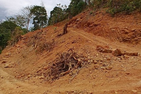 Земельный участок в Пхукете, Таиланд 966м2  № 157897 - фото 3