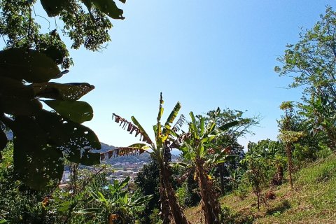 Земельный участок в Пхукете, Таиланд 966м2  № 157897 - фото 2