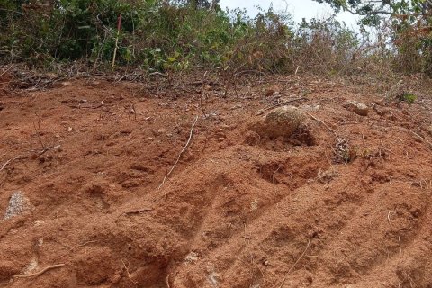 Земельный участок в Пхукете, Таиланд 966м2  № 157897 - фото 5