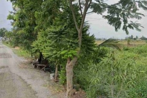 Земельный участок в Банг Буа Тонге, Таиланд 16956м2  № 142585 - фото 3