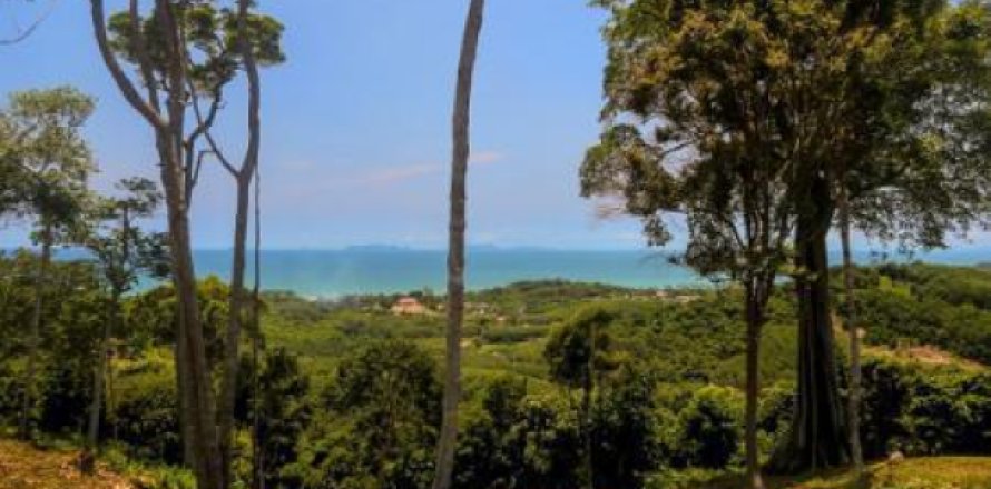 Terrain à Ko Lanta Yai, Thaïlande 19200 m2 № 192770
