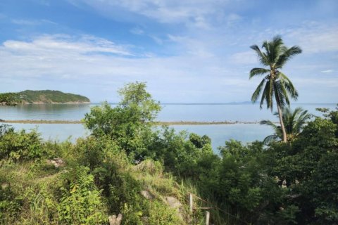 Земельный участок в Сураттхани, Таиланд  № 152601 - фото 2