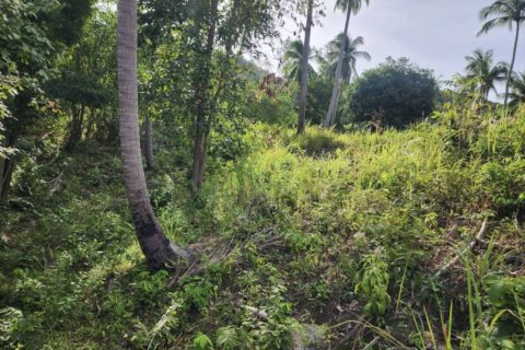 Земельный участок в Сураттхани, Таиланд  № 152601 - фото 5