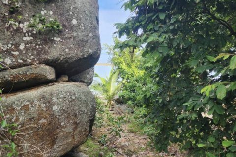 Земельный участок в Сураттхани, Таиланд  № 152601 - фото 7