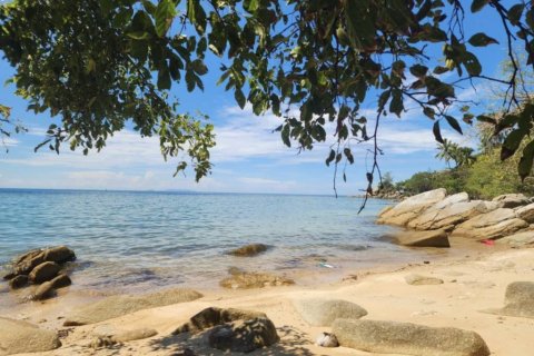 Земельный участок в Сураттхани, Таиланд  № 152601 - фото 1