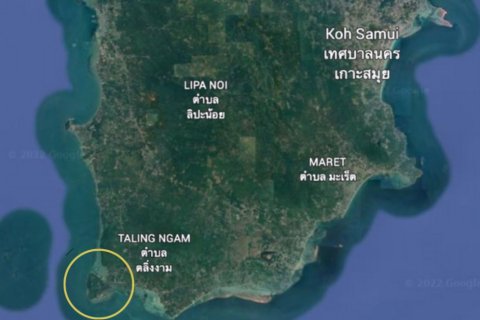 Land in Ko Samui, Thailand 6400 sq.m. № 161266 - photo 10