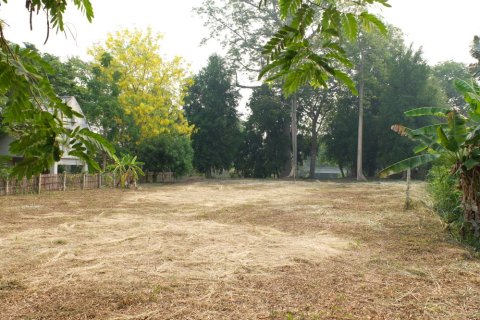 Terrain à Chiang Mai, Thaïlande № 162477 - photo 2