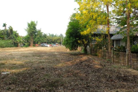 Terrain à Chiang Mai, Thaïlande № 162477 - photo 3