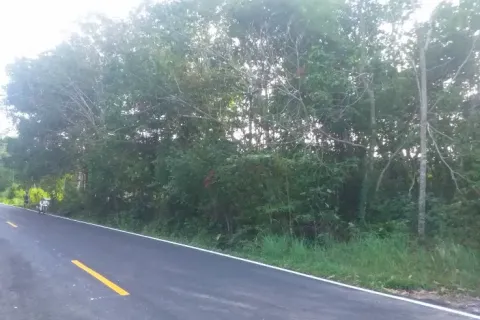 Land in Ko Chang, Thailand 36800 sq.m. № 156162 - photo 6