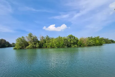 Земельный участок в Май Кхао, Таиланд 48000м2  № 151990 - фото 3