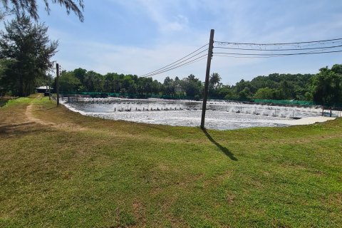 Земельный участок в Май Кхао, Таиланд 48000м2  № 151990 - фото 6