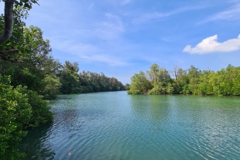 Земельный участок в Май Кхао, Таиланд 48000м2  № 151990 - фото 4