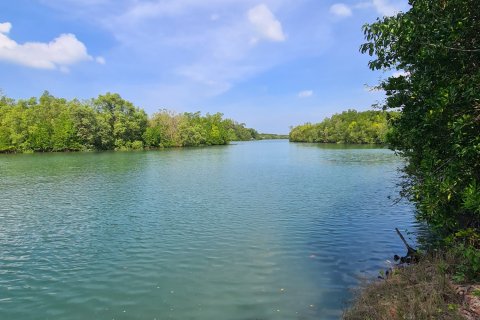 Земельный участок в Май Кхао, Таиланд 48000м2  № 151990 - фото 5