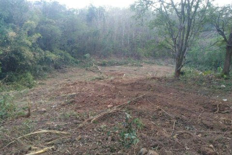 Земельный участок в Пхетчабуне, Таиланд 41600м2  № 170691 - фото 2