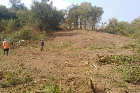 Земельный участок в Пхетчабуне, Таиланд 41600м2  № 170691 - фото 5