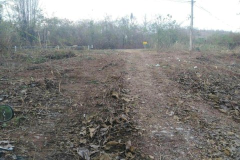 Земельный участок в Пхетчабуне, Таиланд 41600м2  № 170691 - фото 3