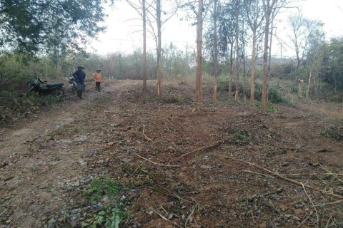 Земельный участок в Пхетчабуне, Таиланд 41600м2  № 170691 - фото 4