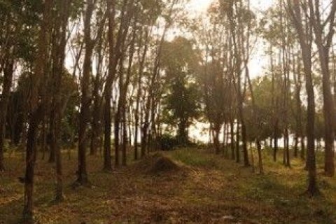 Земельный участок в Пхангнге, Таиланд 4003м2  № 138290 - фото 3