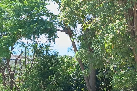 Land in Phuket, Thailand 966 sq.m. № 164226 - photo 3