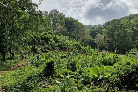 Land in Phuket, Thailand 966 sq.m. № 164226 - photo 7