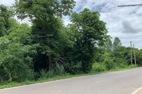 Terrain à Hang Dong, Thaïlande 22800 m2 № 156745 - photo 2