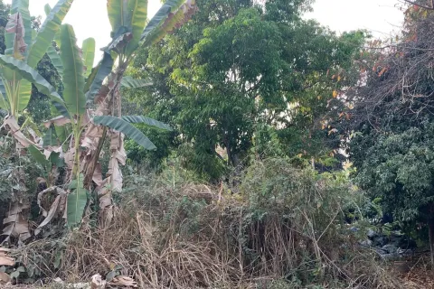 Terrain à Hang Dong, Thaïlande 22800 m2 № 156745 - photo 4