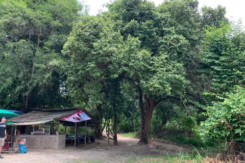 Terrain à Hang Dong, Thaïlande 22800 m2 № 156745 - photo 5