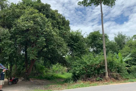 Terrain à Hang Dong, Thaïlande 22800 m2 № 156745 - photo 3