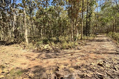 Terrain à Sakon Nakhon, Thaïlande 43200 m2 № 164334 - photo 13