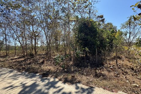 Terrain à Sakon Nakhon, Thaïlande 43200 m2 № 164334 - photo 3