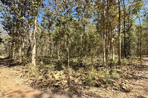 Terrain à Sakon Nakhon, Thaïlande 43200 m2 № 164334 - photo 14